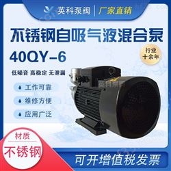 40QY-6自吸式气液混合泵