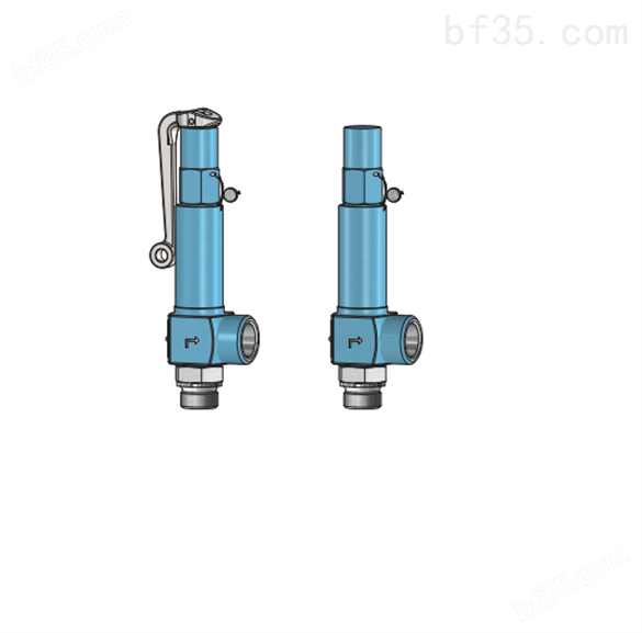 泄压溢流阀Niezgodka safety valve 1.2C型