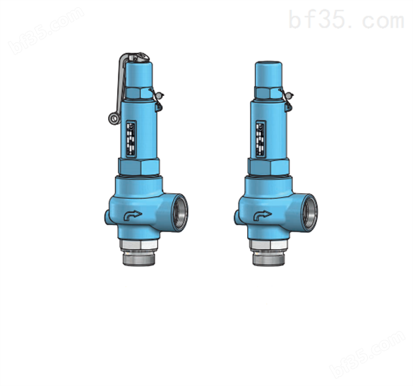 泄压阀Niezgodka safety valve 10.F.0.36型