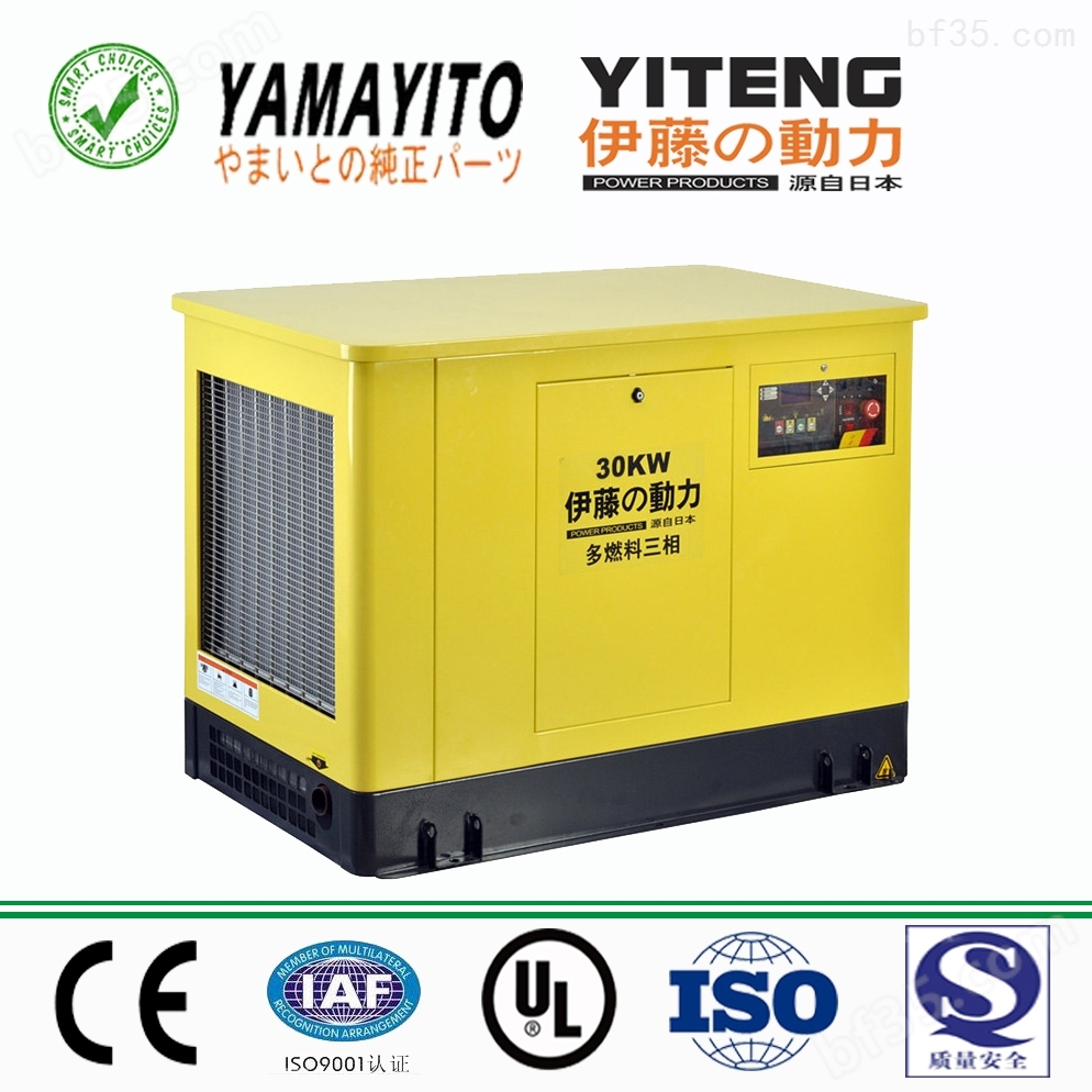 YT30REP-ATS全自动汽油发电机品牌