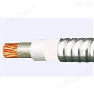 ZR-VVP2-22电缆