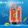 塑料潜水泵HOME-11A地下室自动排水泵